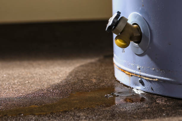 Best Water damage cleanup near me  in Troy, TX