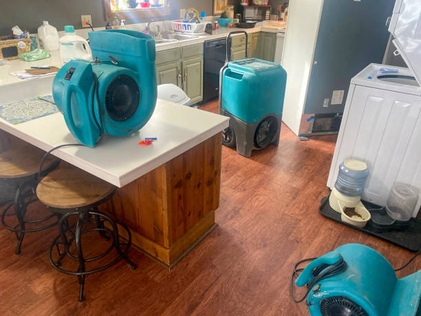 Best Carpet water damage restoration  in Troy, TX