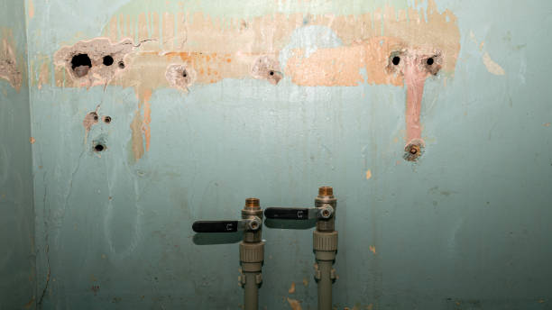 Best Professional water damage repair  in Troy, TX