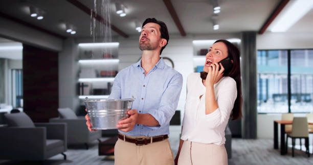 Best Basement water damage restoration  in Troy, TX