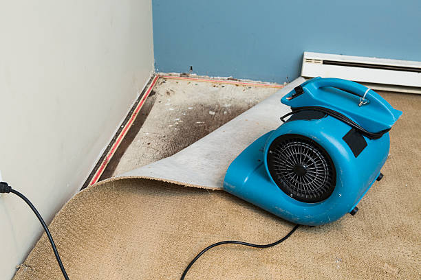 Best Water damage restoration company  in Troy, TX